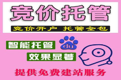 SEM公司成功案例分享：搜索引擎优化的力量